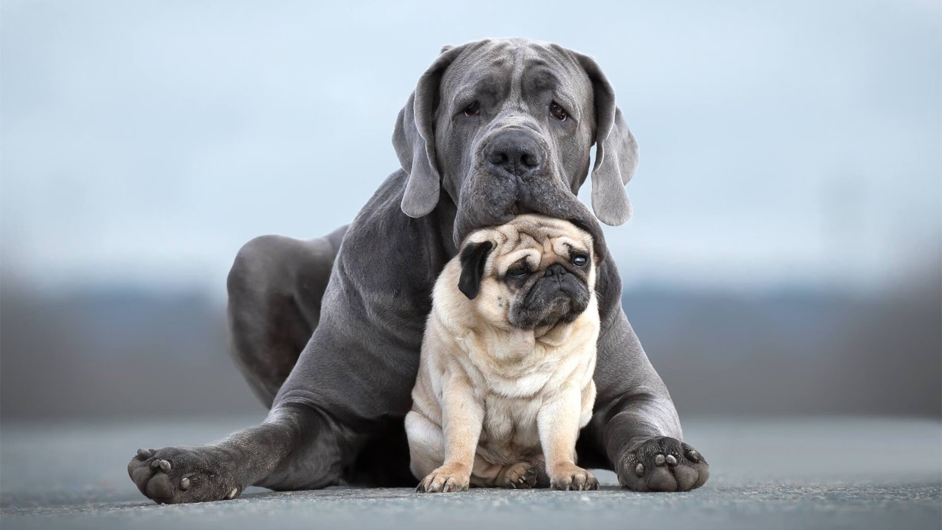 _未来运动科技展:科技引领的运动新篇章_,未来科技运动会