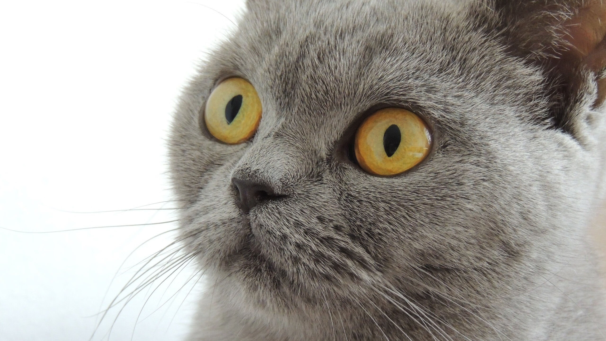 中国举办国际足球友谊赛,增进友谊,足球国际友谊赛是正式比赛吗