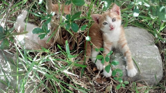 现场炫技:球员炫酷过人集锦,超帅篮球过人