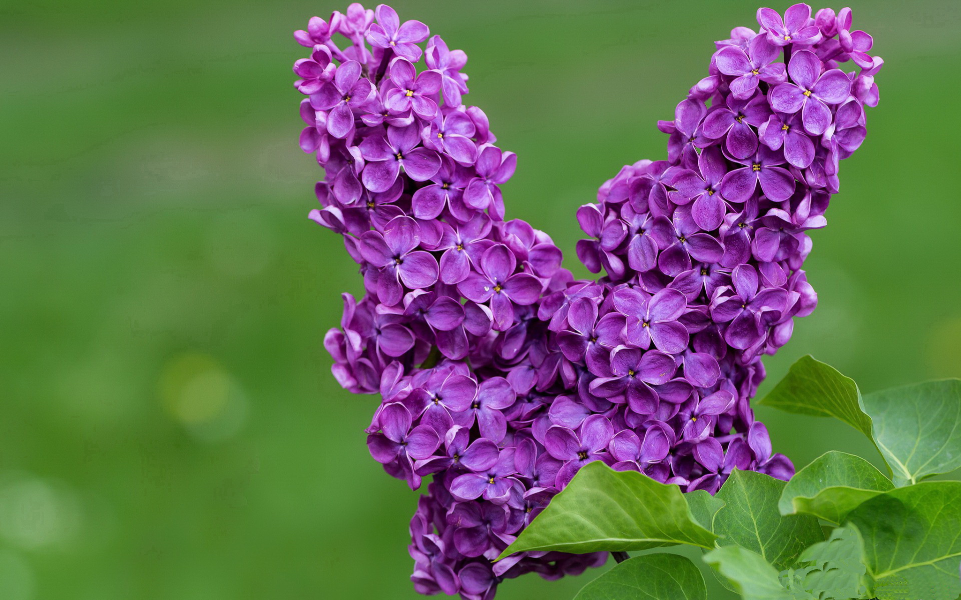 绝杀“神技”绝非偶然,他们的比赛秘诀是…,给我们讲解一下绝杀
