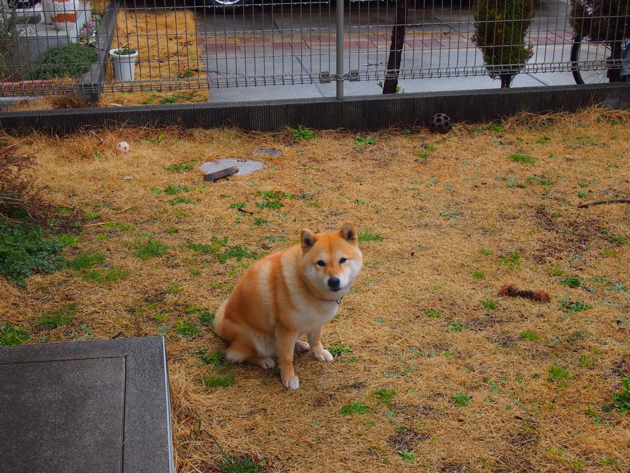 AYX官网-退役展望：传奇球星的退役后的新生活，退役的传奇球员