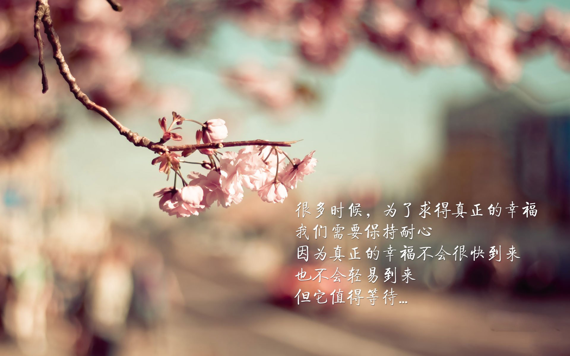 意外高尔夫球童受伤引发关注,高尔夫球童知乎