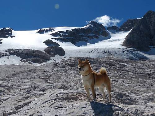 瓦拉多利德客场失利,遗憾错失胜机,瓦拉多利德队