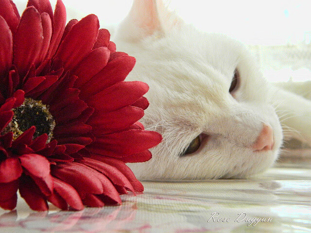 爱游戏官方网站-索尔福德城战术执行到位，半岛球场目标明确，索尔福德是高水平大学嘛