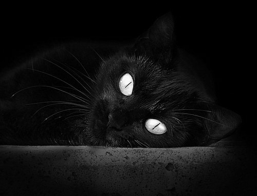 AYX GAMING-葡萄牙体育战术调整见成效，葡萄牙体育强项