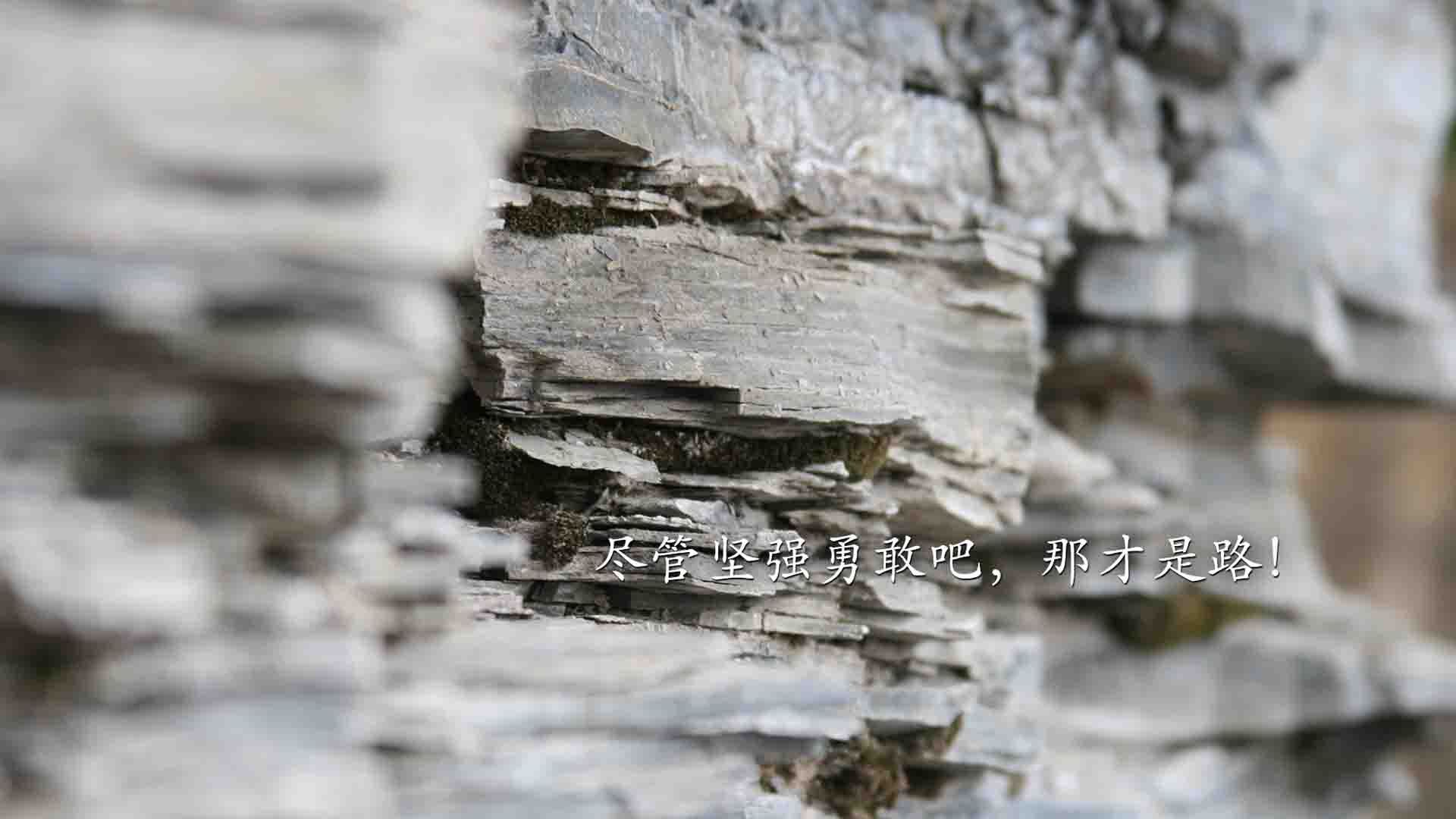 爱游戏登录入口-马德里竞技战平亚特兰大，遗憾丢失胜利，马德里竞技战绩