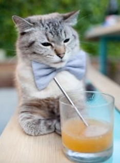 二阵球员替补出场反超比分的经典战役,第二阵容是替补吗