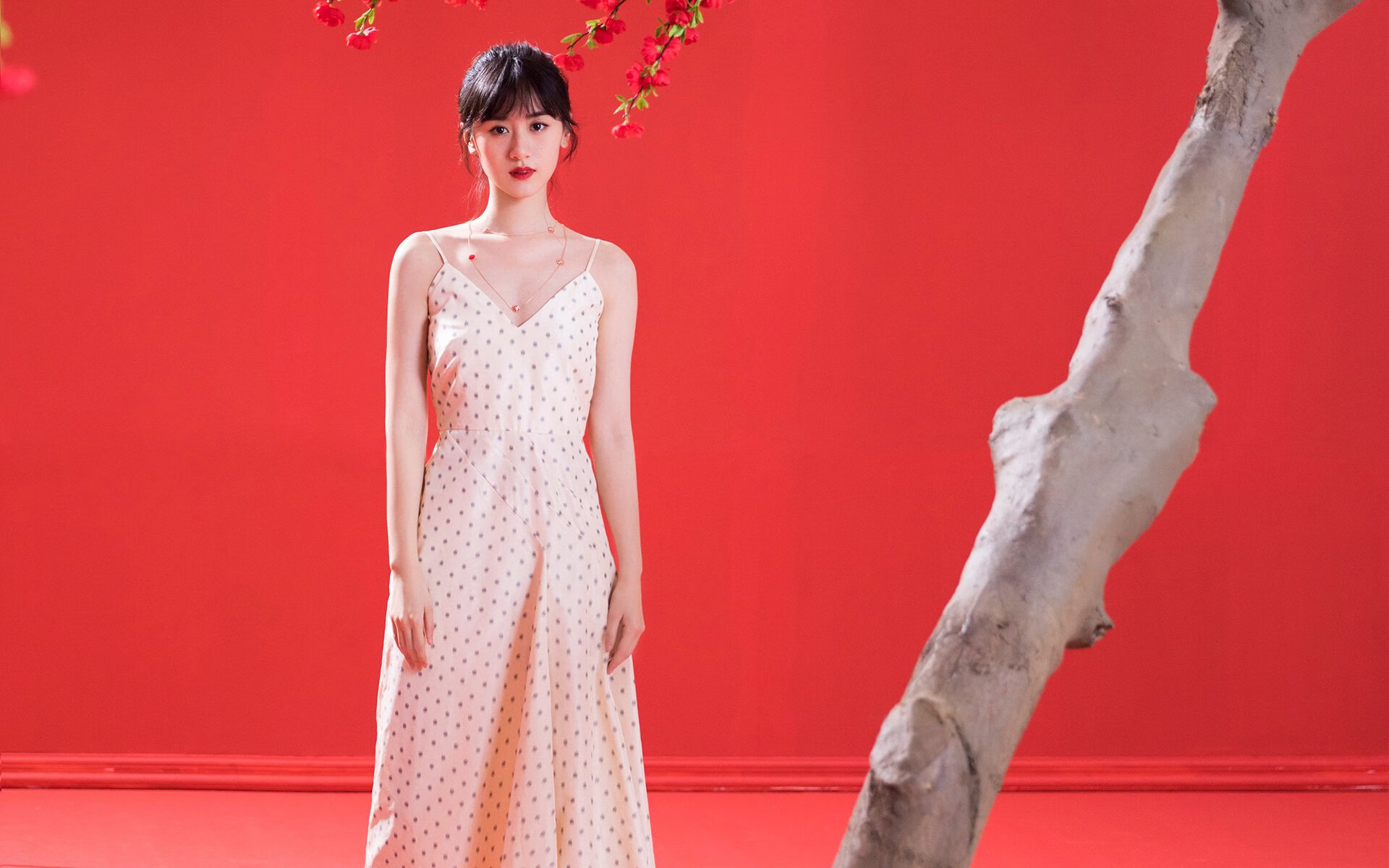 辽宁飞豹节奏掌控出色有效控制比赛走势,辽宁飞豹官网视频直播