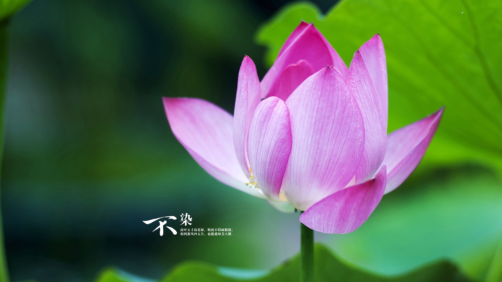 国家体育总局通报群众体育宣传品内容合规整改情况,国家体育总局办公厅发布2021年群众体育工作要点