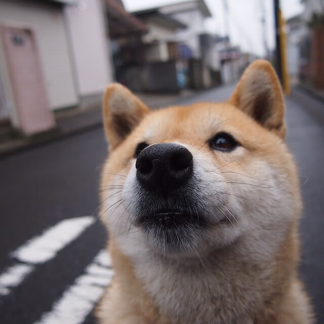 爱游戏体育APP下载-库里参与设计球队新赛季主题球衣，库里球衣集合