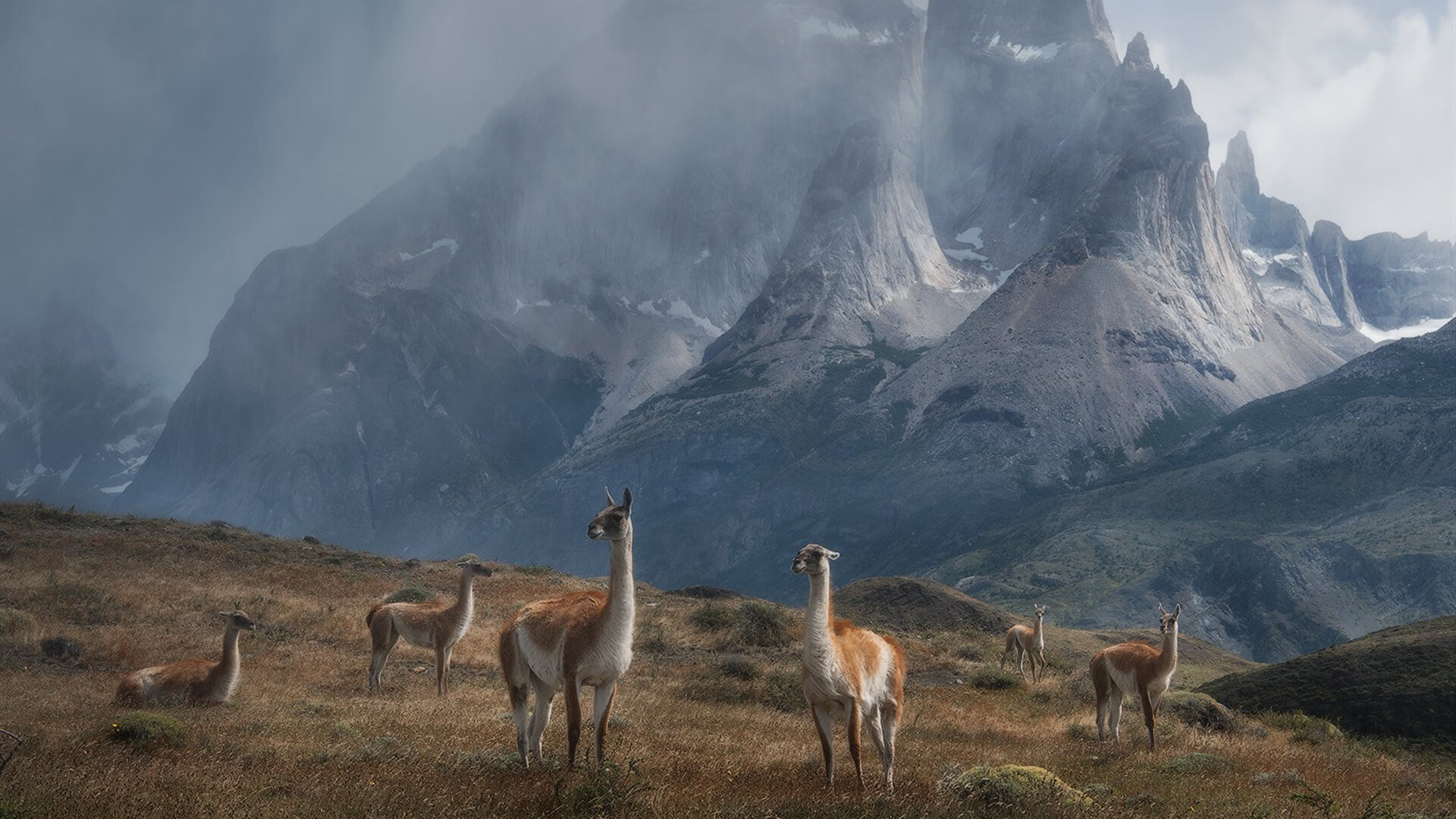 爱游戏 电竞-科特迪瓦男篮在非洲锦标赛中持续升温，体育水平不断提升，科特迪瓦男足